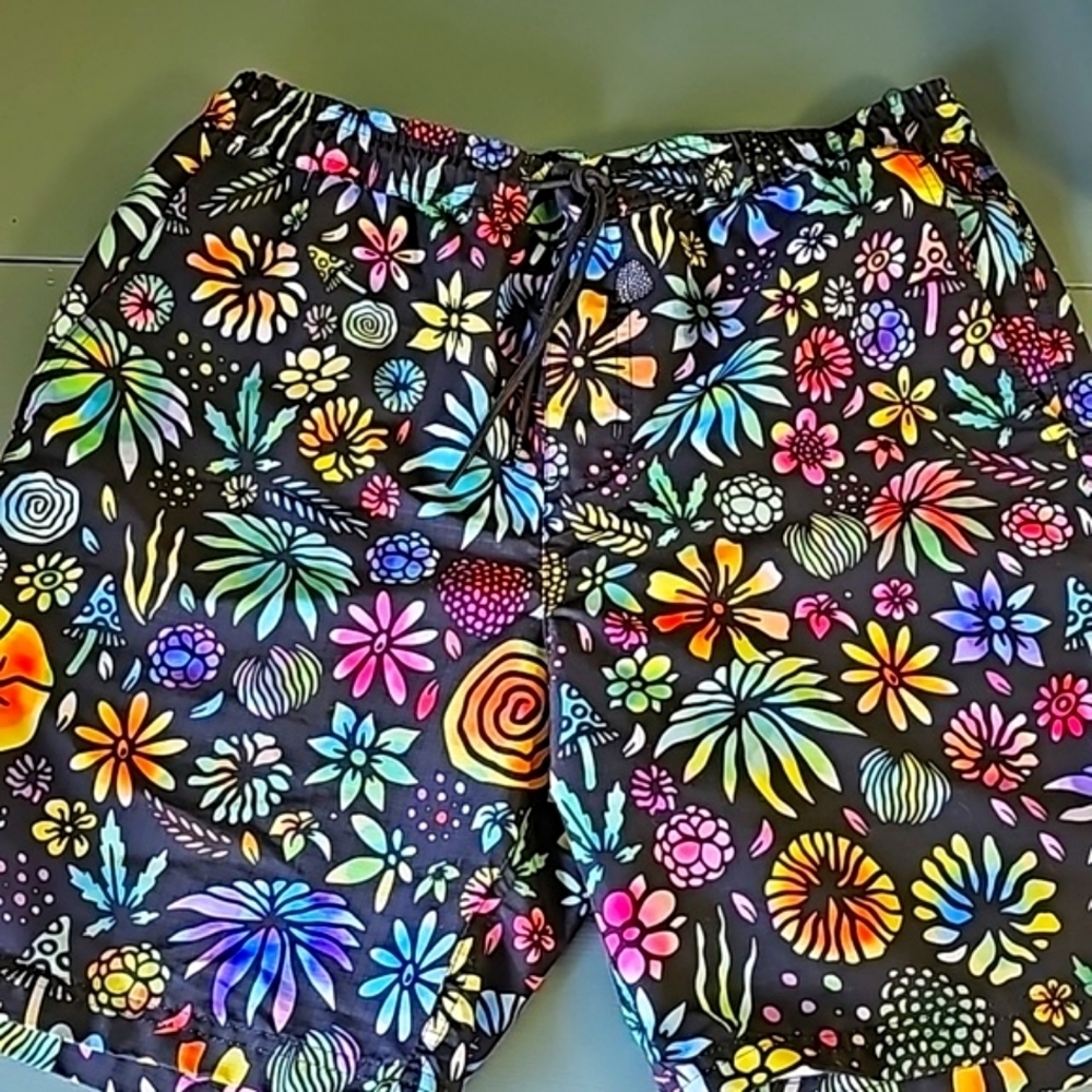 Shorts by Lost. Colorful size medium.  2 front pockets,‎ 1 button pocket …